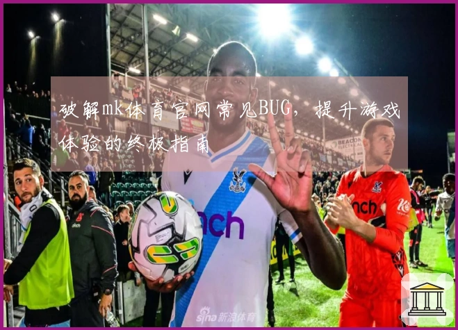 破解mk体育官网常见BUG，提升游戏体验的终极指南