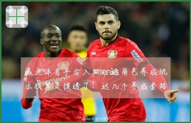 赢点体育平台入口，这角色养成玩法我算是摸透了！这几个养成套路让你少走弯路！