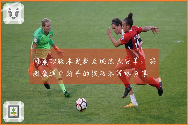 问鼎pg版本更新后玩法大变革，实测最适合新手的技巧和策略分享